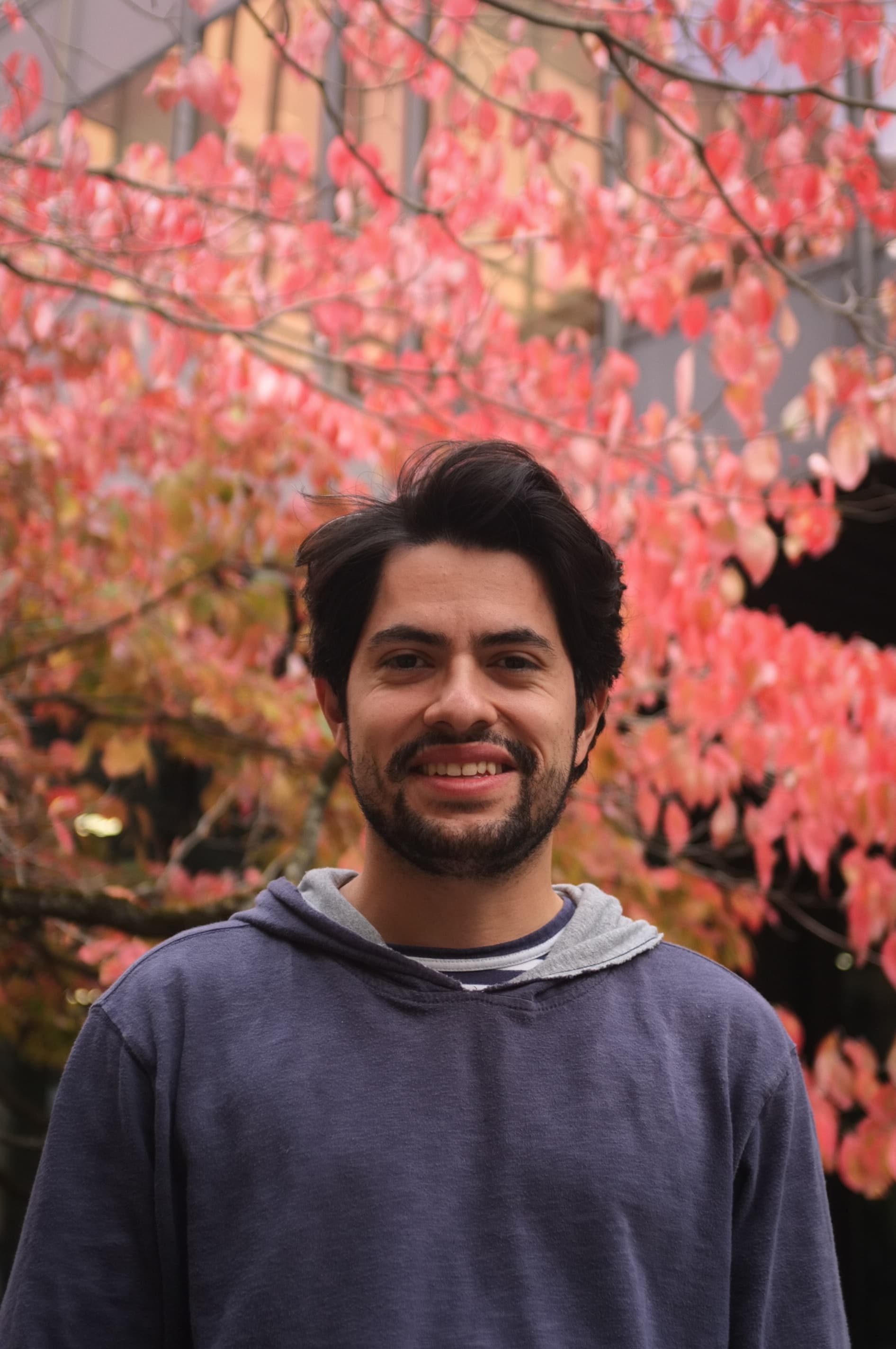 Member Profile Picture