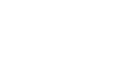 Syntheticus