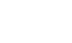 Wingman