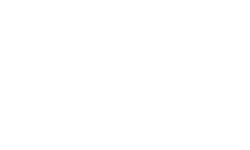 Wenger Vielli