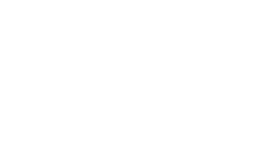 Dynesis
